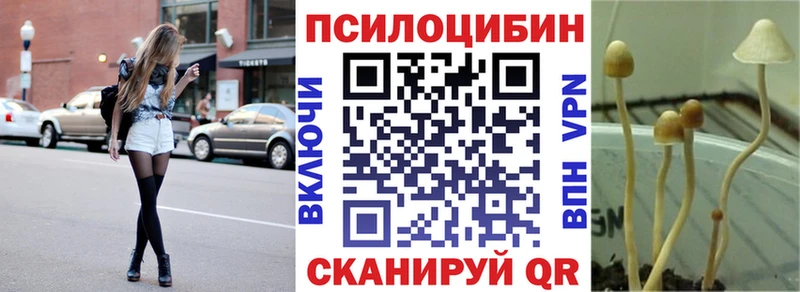 мега ссылка  shop официальный сайт  Псилоцибиновые грибы мухоморы  купить  цена  Минусинск 