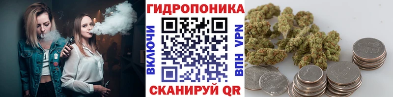 магазин продажи   Минусинск  Марихуана гибрид 